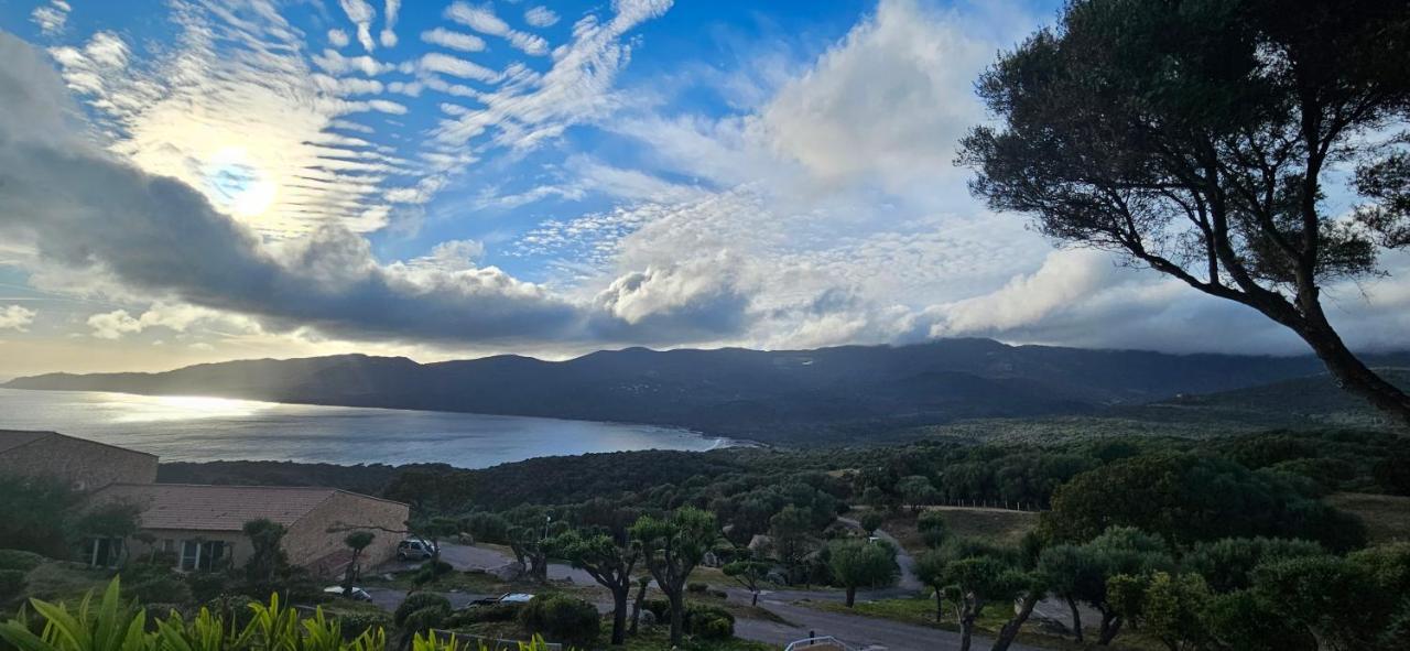 Chalereux T2 Vue Mer Et Piscine Alba Rossa Serra-di-Ferro  Εξωτερικό φωτογραφία